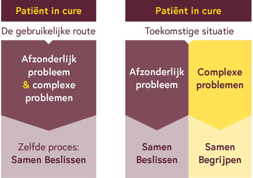 Infographic die laat zien dat de RVS 2 verschillende hulproutes adviseert voor mensen met enkelvoudige en mensen met complexe problemen