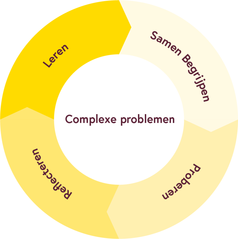 Aanbevolen routekaart voor mensen met complexe problemen: samen begrijpen, proberen, leren en reflecteren