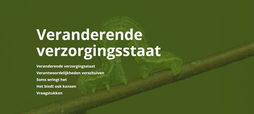 Veranderende verzorgingsstaat